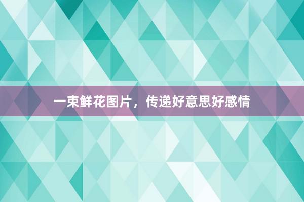 一束鲜花图片，传递好意思好感情