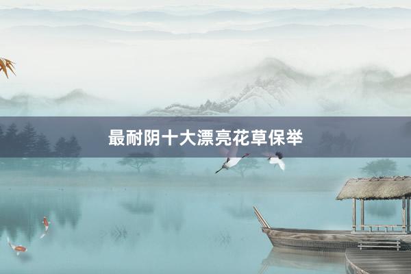最耐阴十大漂亮花草保举