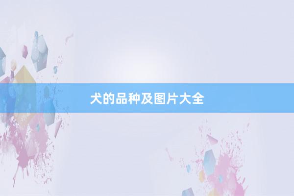 犬的品种及图片大全