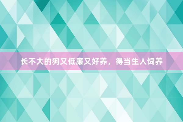 长不大的狗又低廉又好养，得当生人饲养