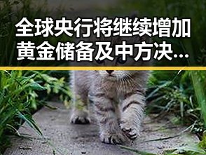 全球央行将继续增加黄金储备及中方决定向伊朗提供新一批人道主义援助引发关注