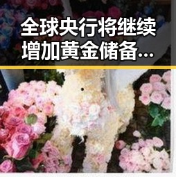 全球央行将继续增加黄金储备及中方决定向伊朗提供新一批人道主义援助引发关注