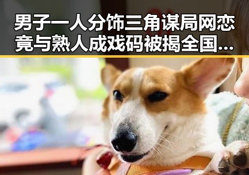男子一人分饰三角谋局网恋竟与熟人成戏码被揭 全国影响力媒体总编辑湘潭行启幕引发热议