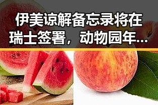 伊美谅解备忘录将在瑞士签署，动物园年薪十万元招人扮黑熊引发关注