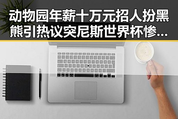 动物园年薪十万元招人扮黑熊引热议突尼斯世界杯惨败后教练被解雇的反差现象