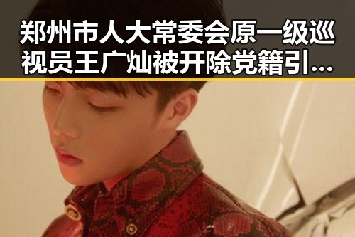 郑州市人大常委会原一级巡视员王广灿被开除党籍引发关注 不喜欢以色列袭击贝鲁特的国际反应也引发热议